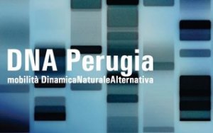 DNA Perugia logo